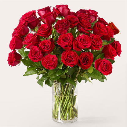 The One Red Rose Bouquet –  Buds N Bows, North Little Rock AR