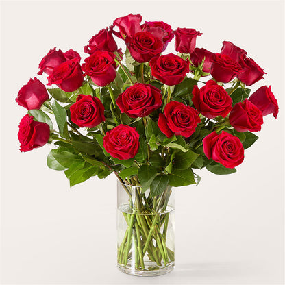 The One Red Rose Bouquet –  Buds N Bows, North Little Rock AR