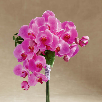 Glorious Bouquet –  Buds N Bows, North Little Rock AR