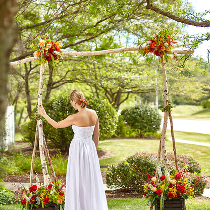 Arbor of Love Archway –  Buds N Bows, North Little Rock AR