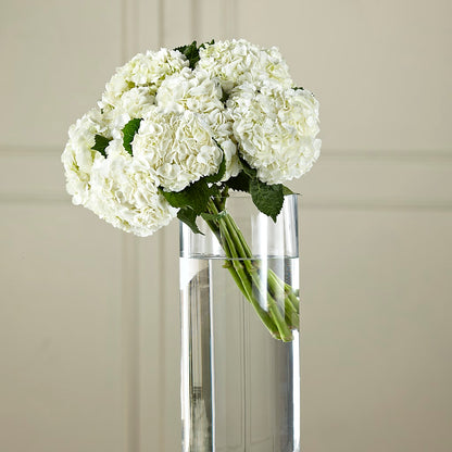 White Hydrangea Hand-Tied Bouquet –  Buds N Bows, North Little Rock AR