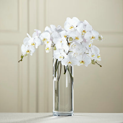 White Phalaenopsis Bouquet –  Buds N Bows, North Little Rock AR