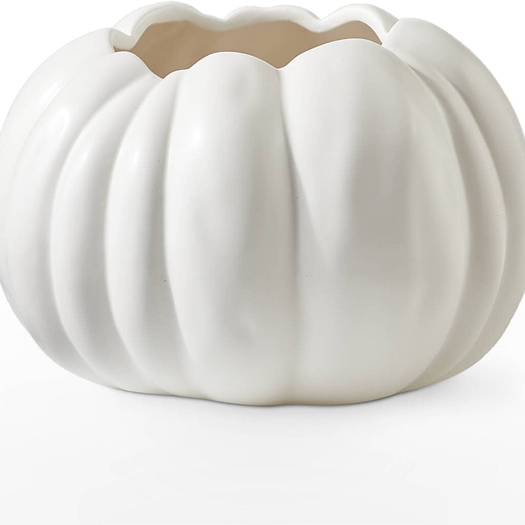 Pumpkin to Talk About Bouquet –  Buds N Bows, North Little Rock AR